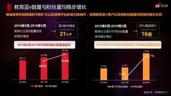 网络服务——互联网数据资讯中心199it与互联网数据服务的融合创新